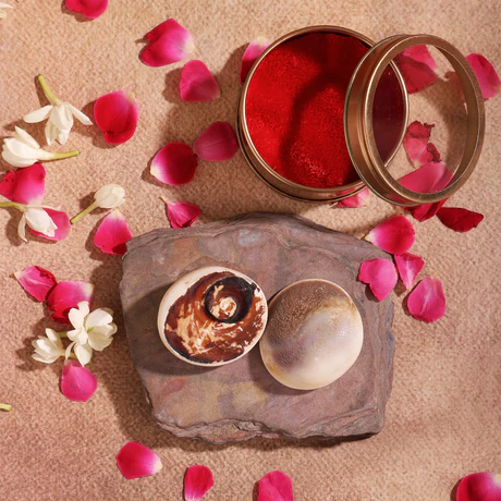 Gomti Chakra 2 Pcs | Symbol of Maa Laxmi | Invokes the Divine Grace